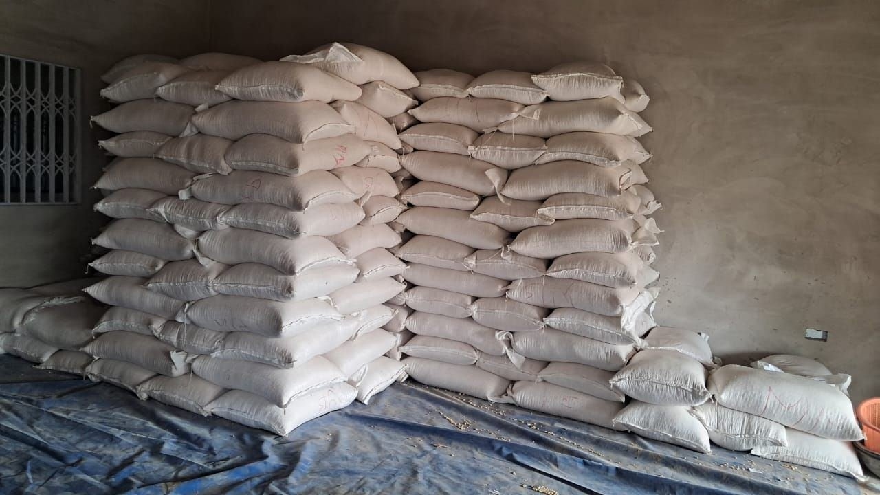 Beans - Image 3