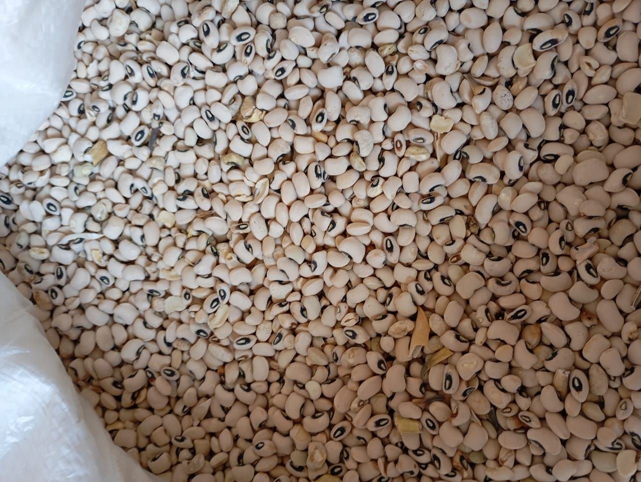 Beans for sale in Ghana